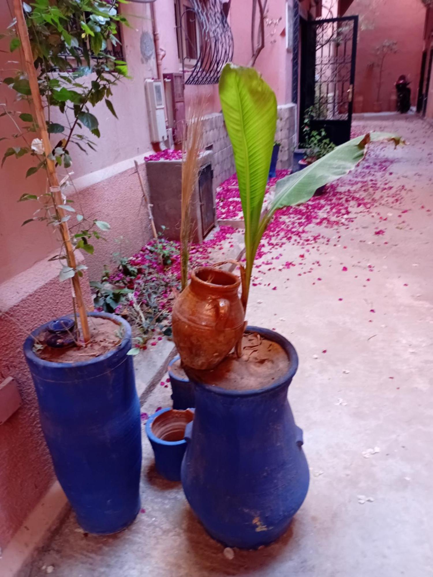 Riad Le Shams 마라케시 외부 사진